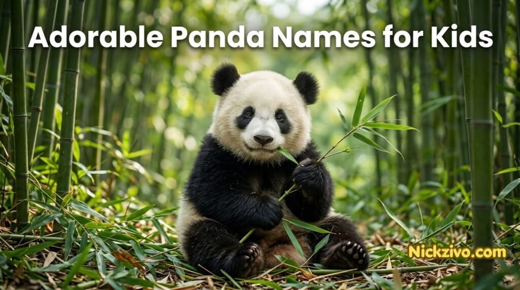 Panda Nicknames