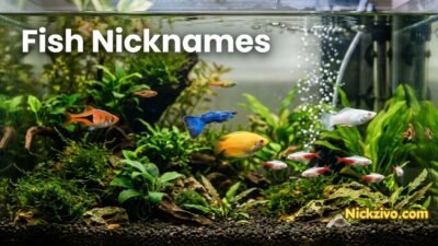 Fish Nicknames